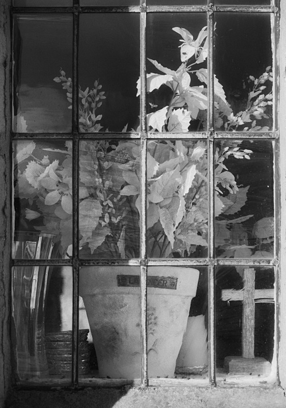 Window Flowers Farnley Church in Black and White - Abstract & Still Life