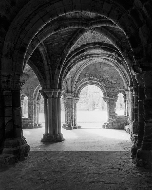 Arches and Light - Architecture