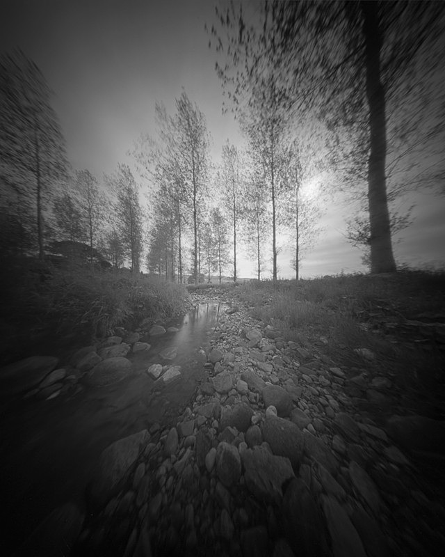 Trees and Stream, Ilkley - Trees, Fields and Landscapes