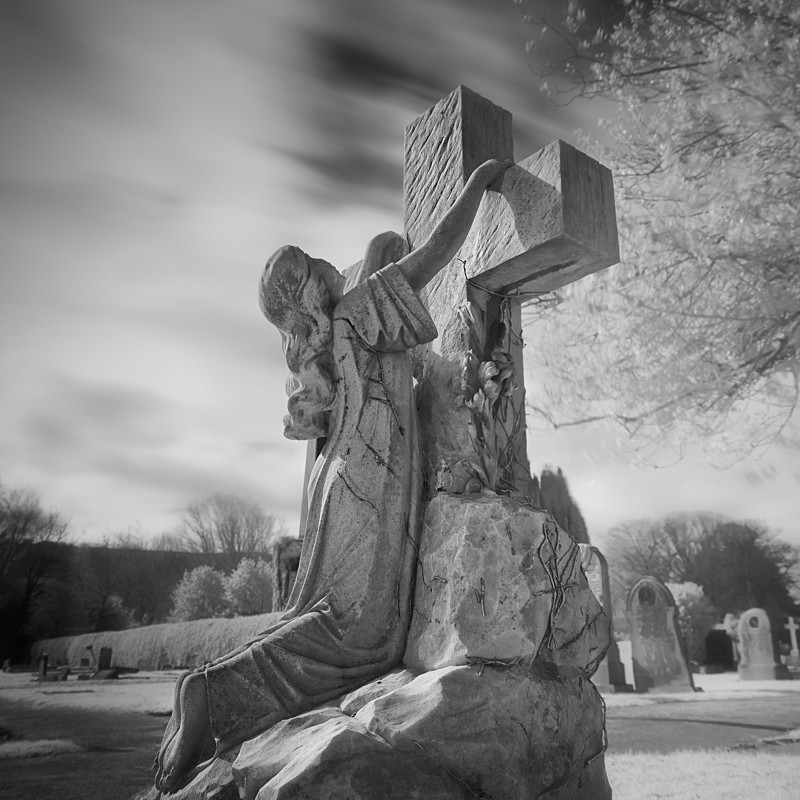Resurrection, Infrared #1 (square format) - Infrared