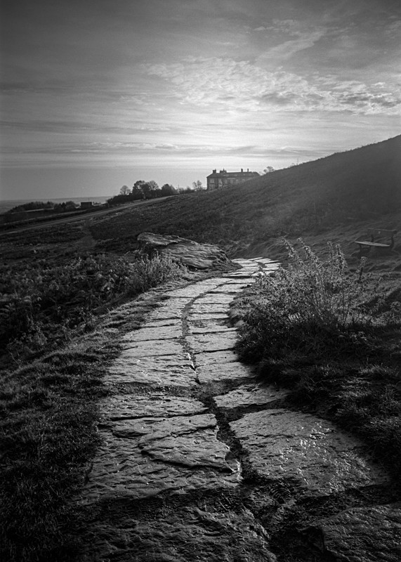 Path from The old Quarry, Ilkley - Landscapes
