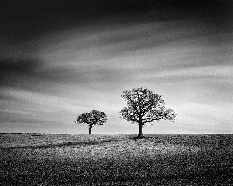 Light and shape