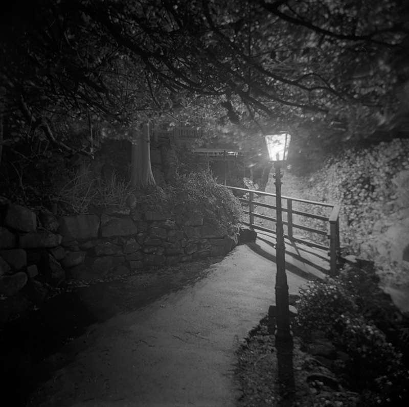 Wells Walk ilkley, Holga 120N - Holga 120N