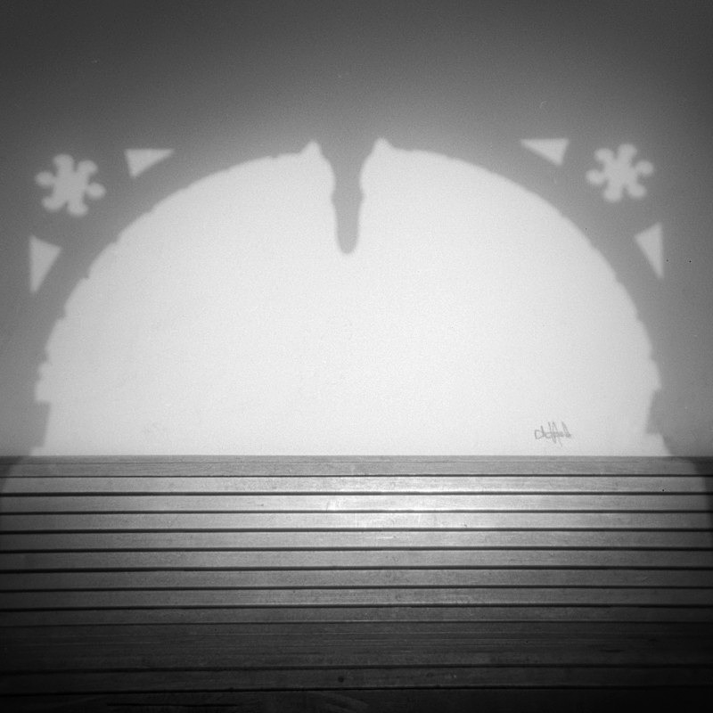 Shadow and Signature, Salts Mill - Holga 120N