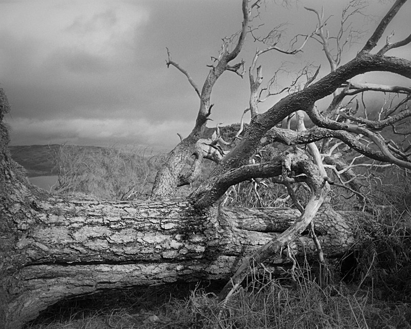 Fallen #2, Lake District