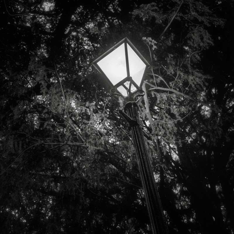 Lamp Light, Otley (square format) - Otley and Ilkley at Night