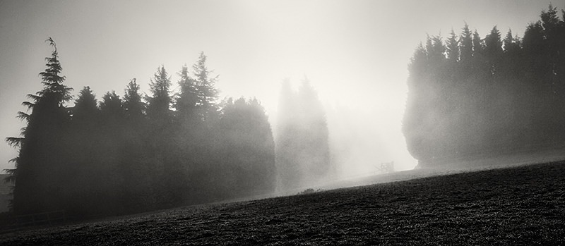 Light and Mist - Panoramic