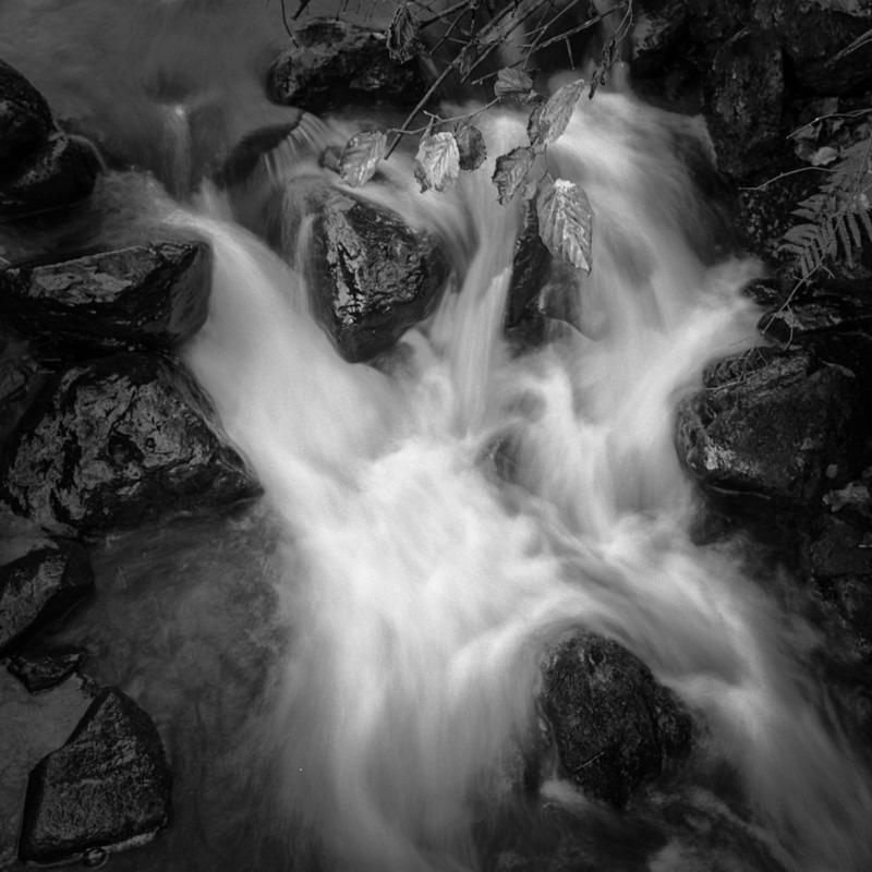 Sink Hole (square format) - Water