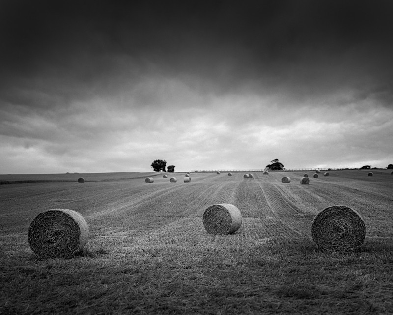 3 Rolls - Landscapes