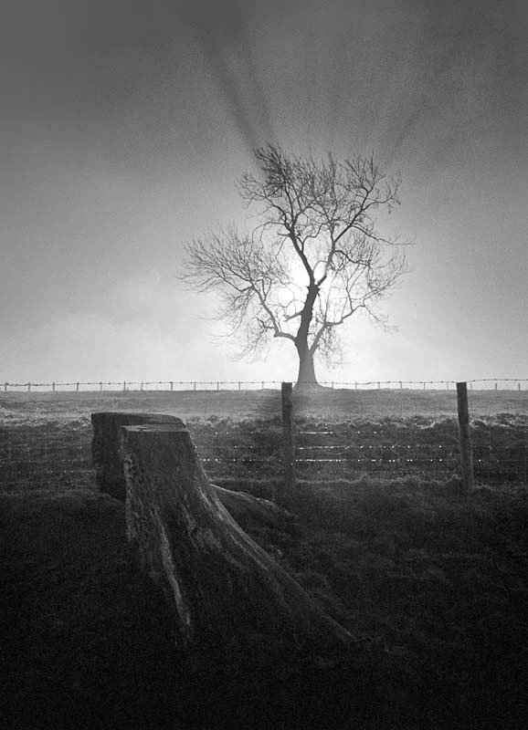 Dead or Alive - Landscapes
