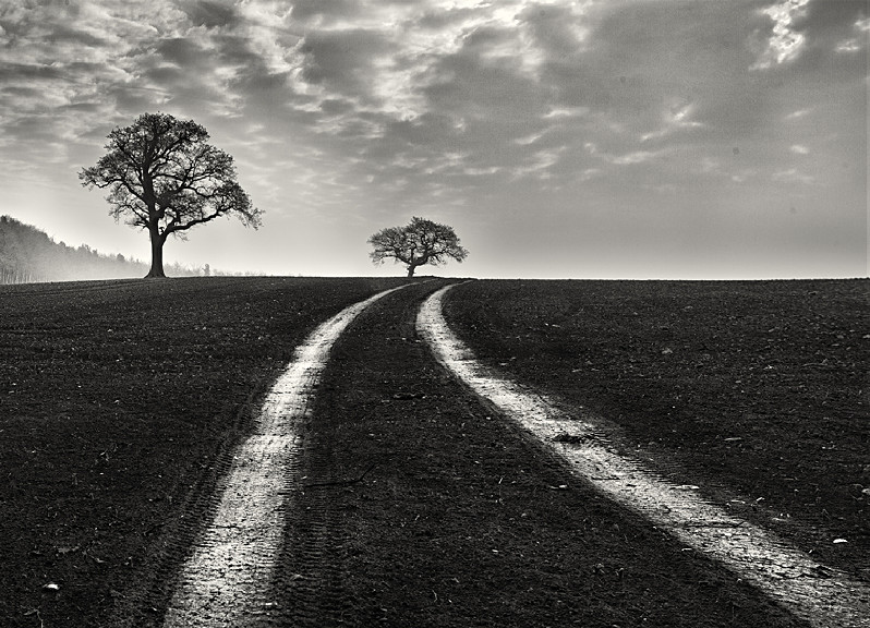 Wagon Tracks