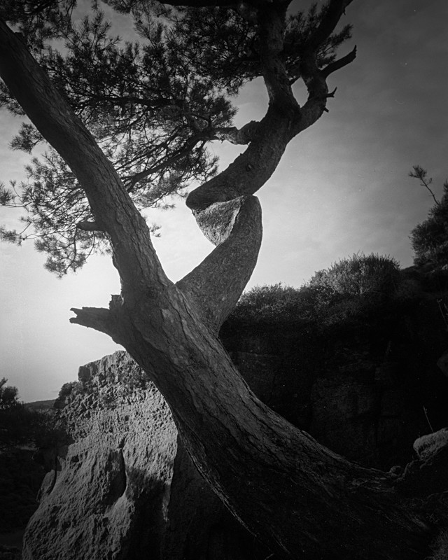 S Curve - Landscapes