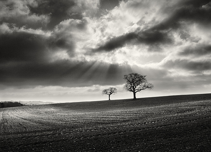 Two Tees in Black and White at Farnley Yorkshire