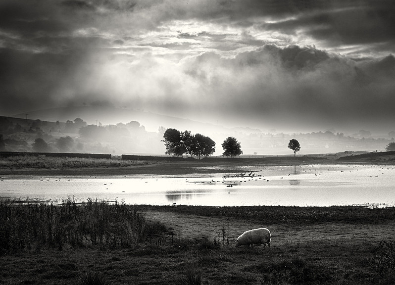 Light over the Lake