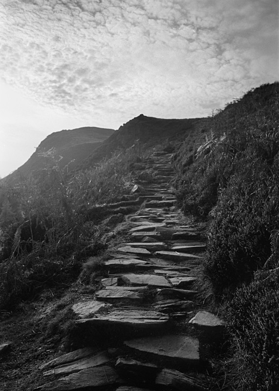 Path to Cat Bells - Landscapes