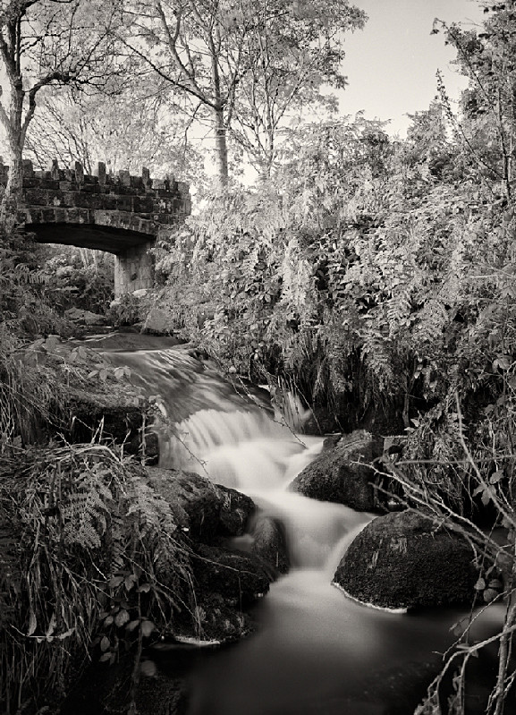 Little Stream Falls - Water