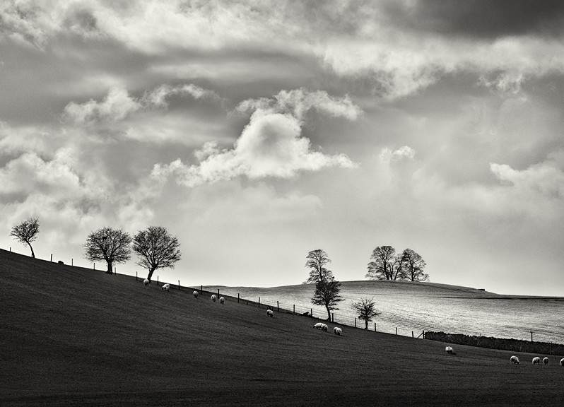 Landscape Photography