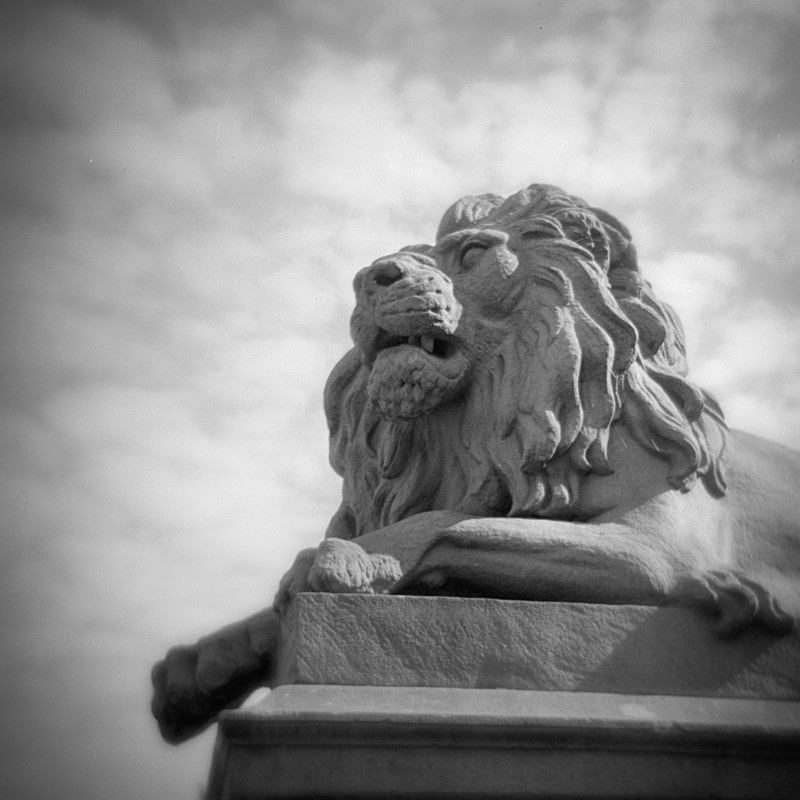 Lion Sculpture, Salts Mill - Holga 120N