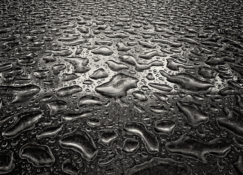 Water Droplets in Black & White Otley - Abstract & Still Life
