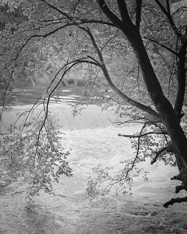 Curves - Water