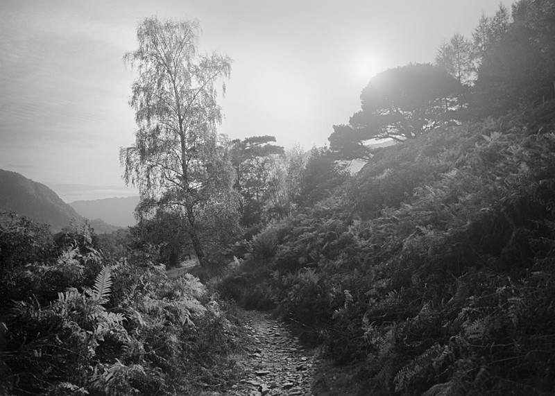 Lake District Light #5 - Landscapes