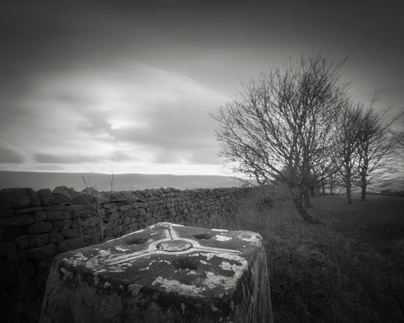 Ordnance Survey triangulation point, Langbar - Trees, Fields and Landscapes