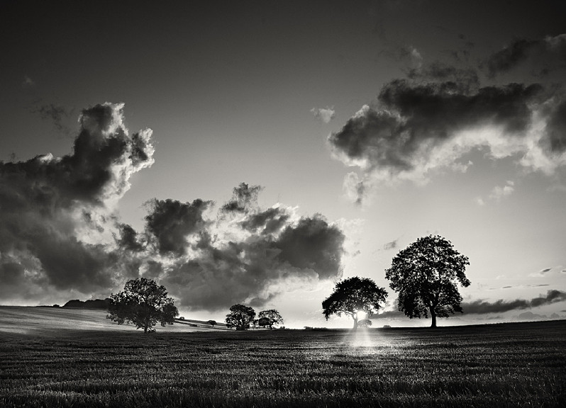 Last Light