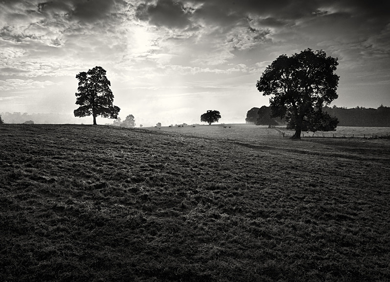 Sunrise at Farnley Yorkshire