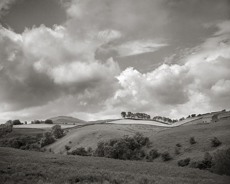 Rolling Hills, Yorkshire Dales Scene - Landscapes