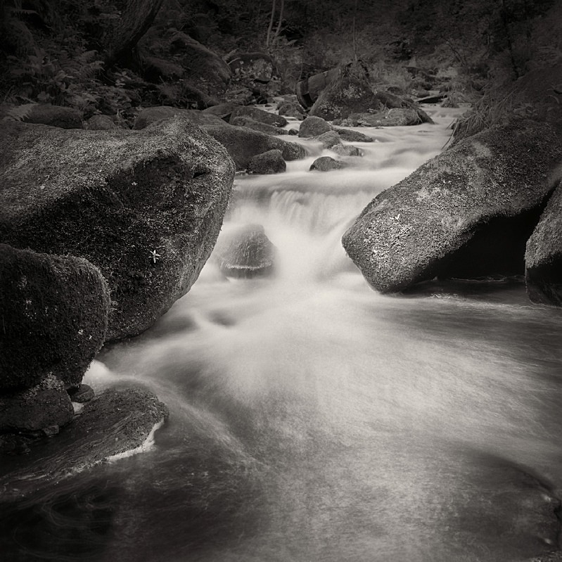 Flowing Water (square format) - Water