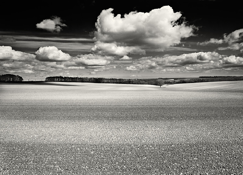 Ploughed field in Yorkshire