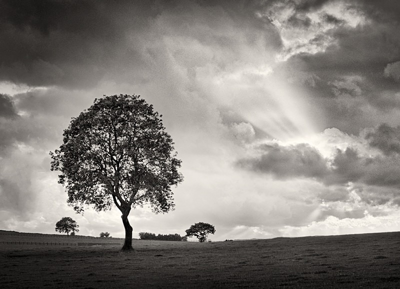 Yorkshire Landscapes
