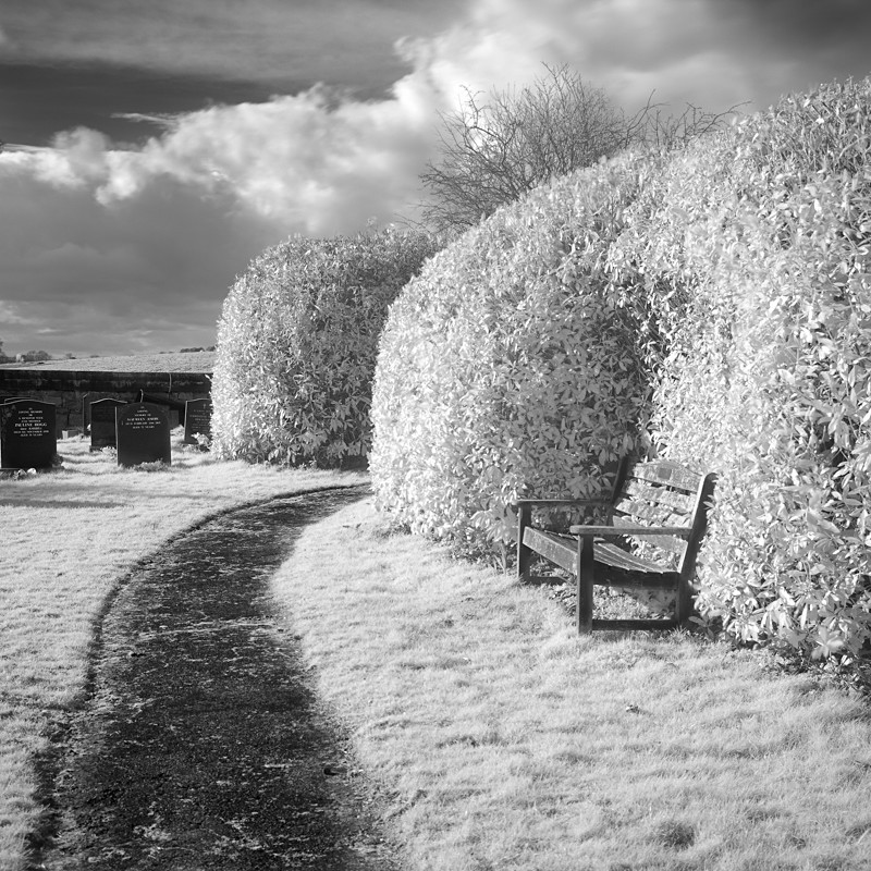 Resting Place, Infrared (square format) - Infrared