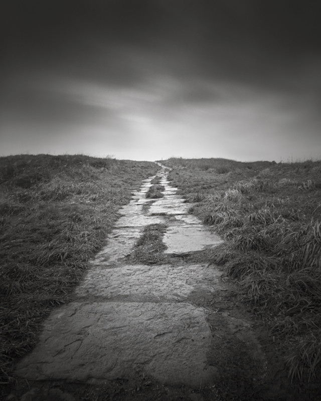 Granite Path, Otley Chevin - Trees, Fields and Landscapes