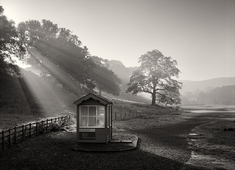 Sun rays through Trees in Wharfedale Yorkshire