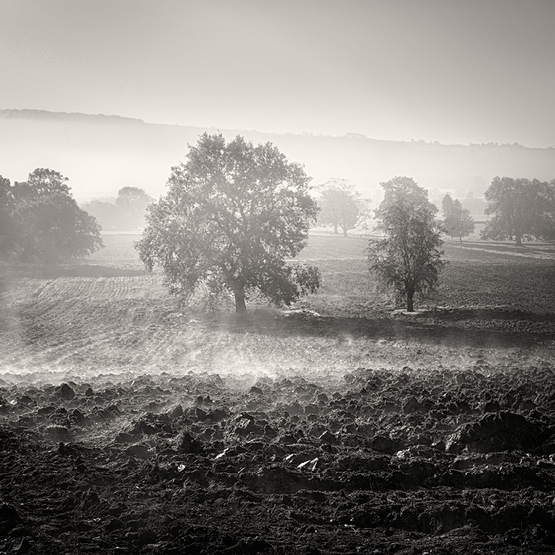 Rising Steam