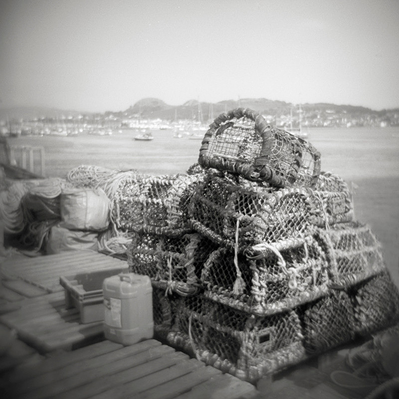 Crab Traps, Conyw - Holga 120N