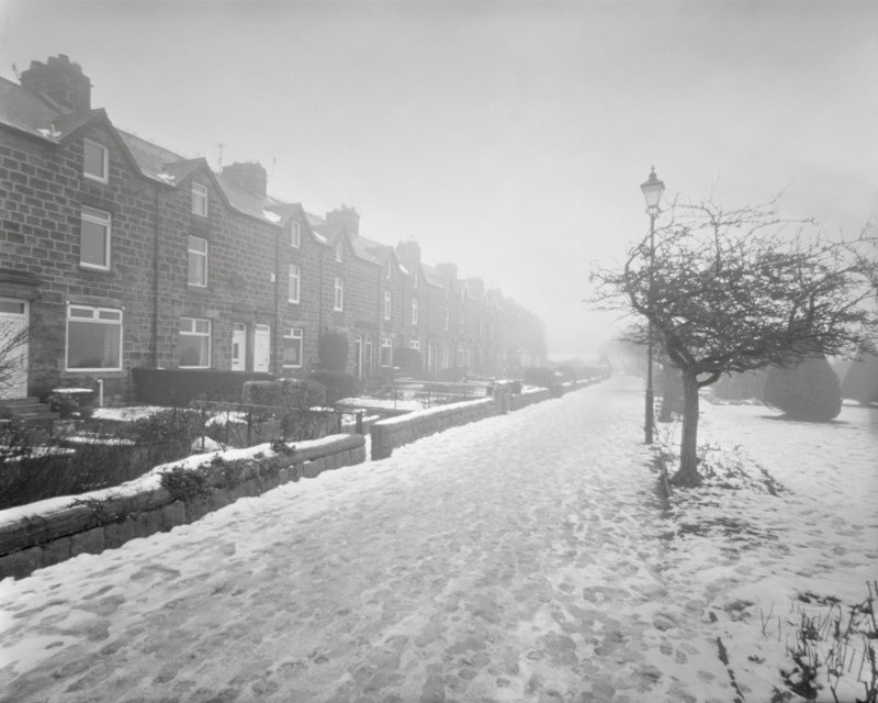 Otley in Winter Mist Pinhole Photograph - Trees, Fields and Landscapes