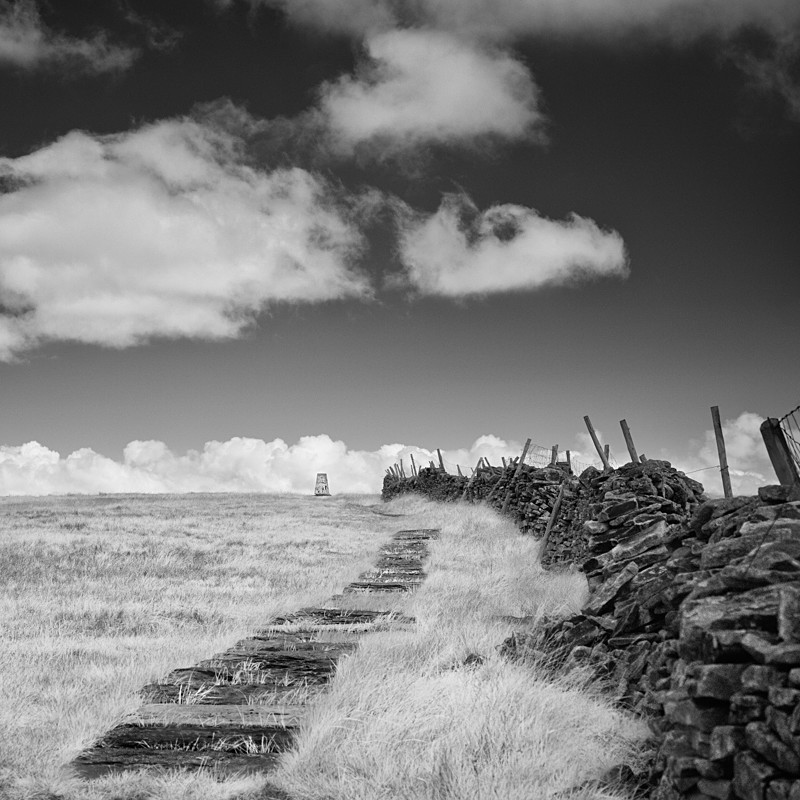 Path to Buckden Pike, Infrared (square format) - Infrared