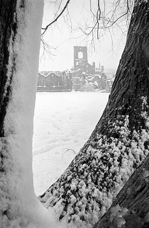 Winter at Kirkstall Abbey, Leeds (circa 1985) - Landscapes