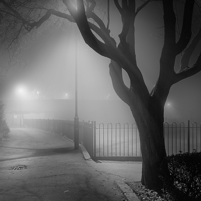 Tree Shape, Otley (square format) - Otley and Ilkley at Night