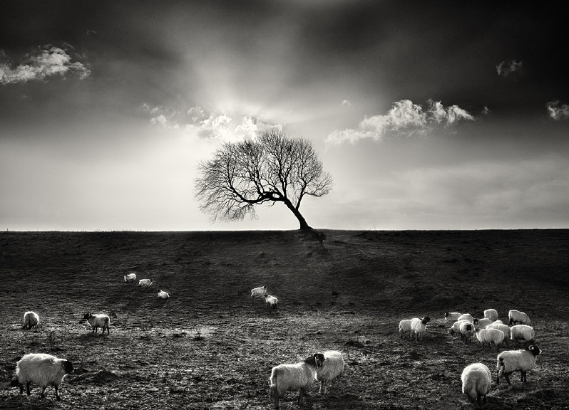 Fine Art Black and White Photography