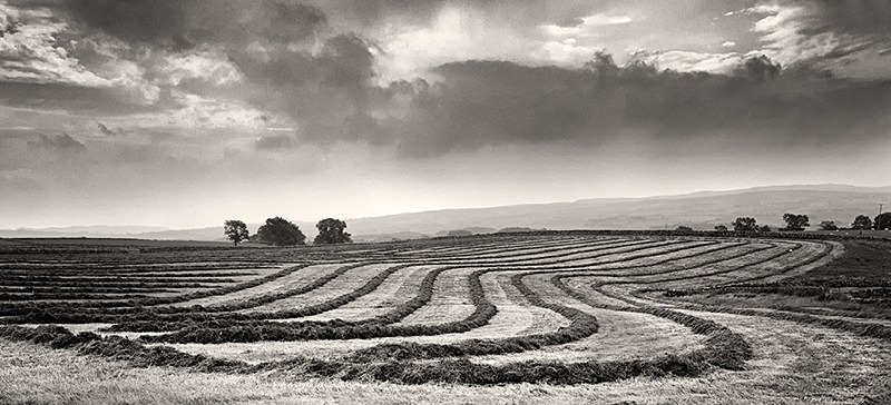 Harvest Pano - Panoramic