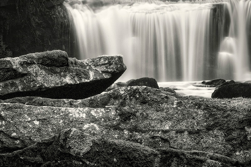 Coarse and Soft - Water