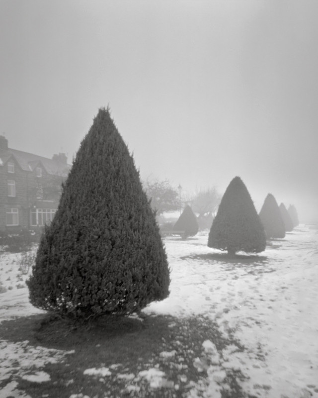 Otley Riverside Park in Winter Mist Pinhole Photograph - Trees, Fields and Landscapes