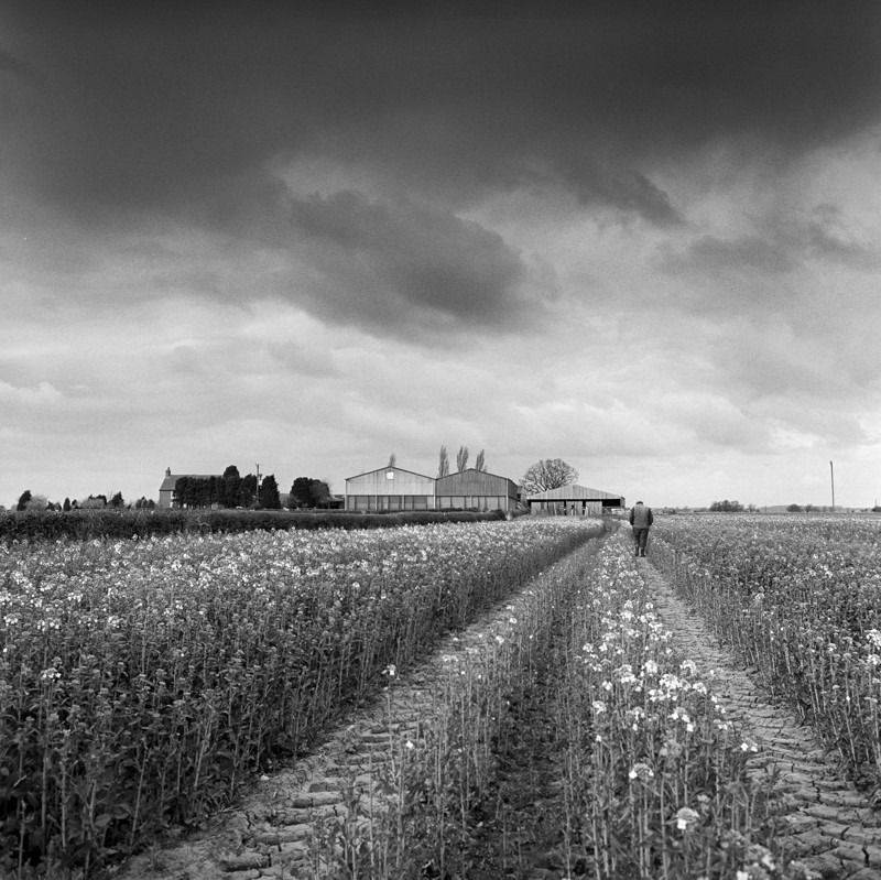 Crop Inspection