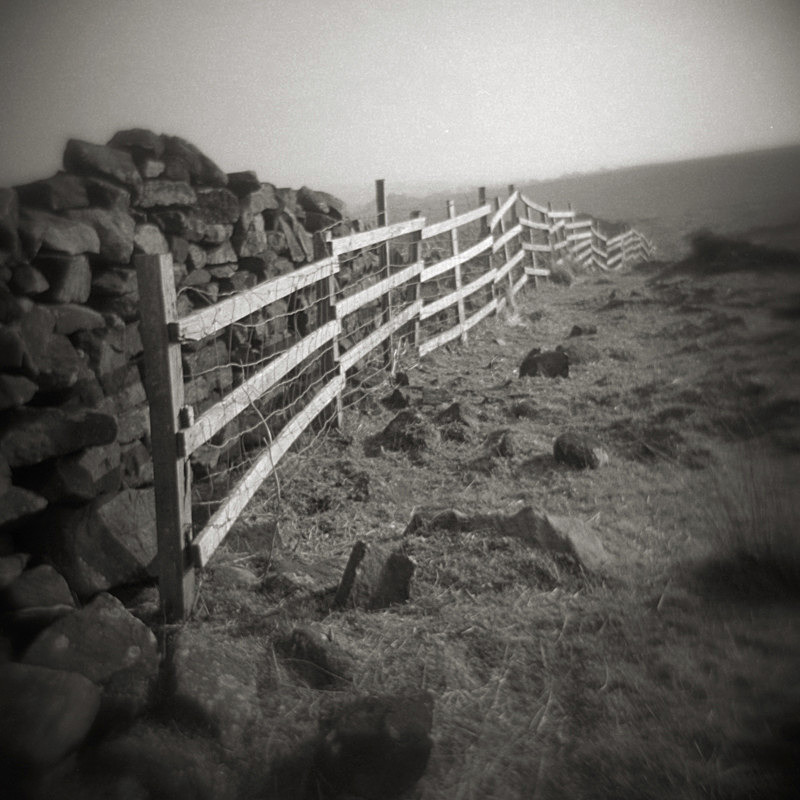 Fence Line, Burley Moor - Holga 120N
