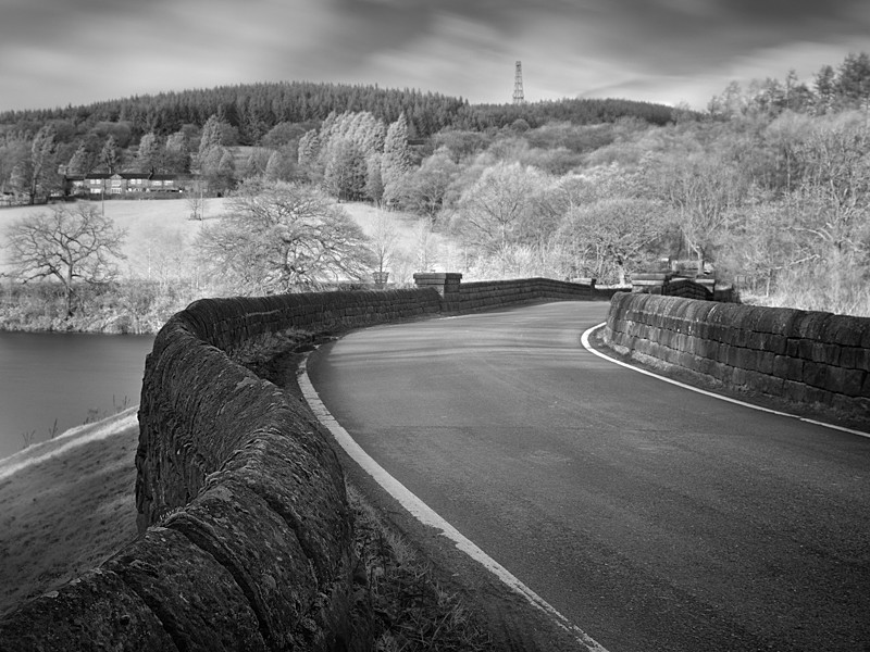 Winding Road, Infrared - Infrared