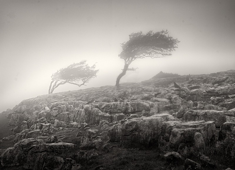 Dales wind