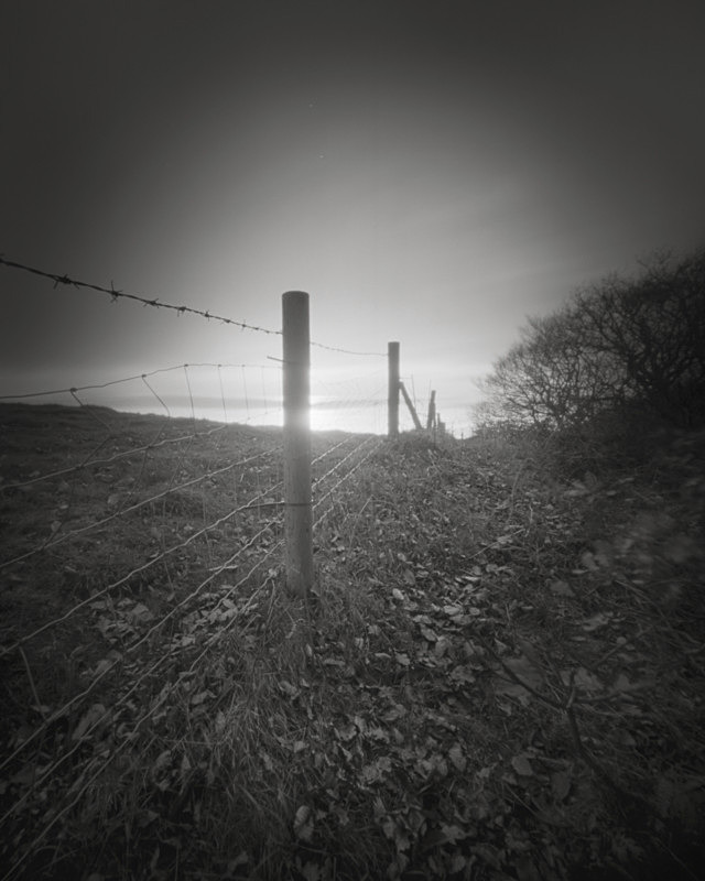 Fence, Otley Chevin - Trees, Fields and Landscapes